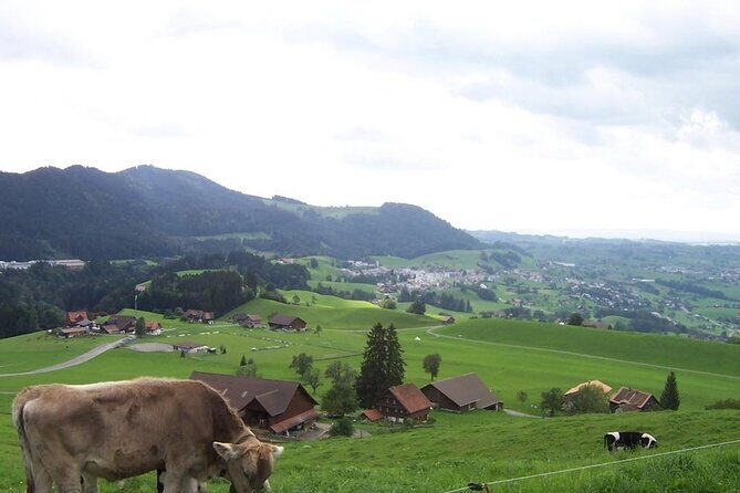11-Day Private Lite Tour Across Switzerland by Bike from Geneve - Should You Book This 11-Day Bike Crossing?