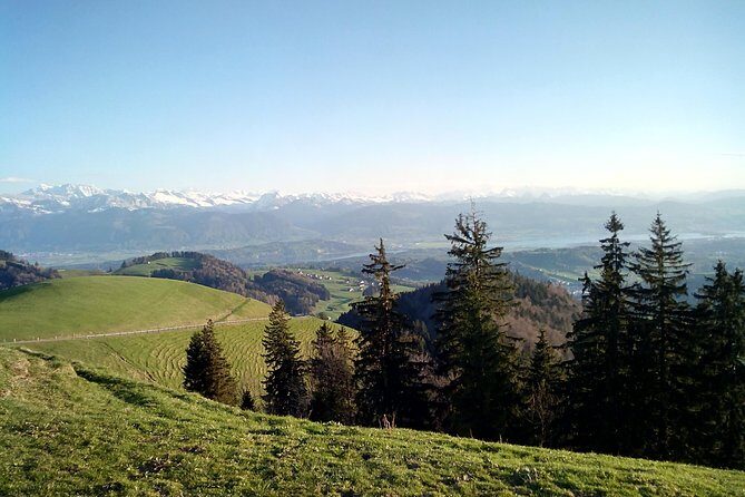 4-hour Quad Tour near Zurich - Key things I’d book this for