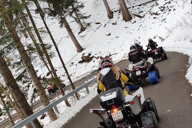 4-hour Quad Tour near Zurich - Price and value: what $235.74 covers and how to judge it