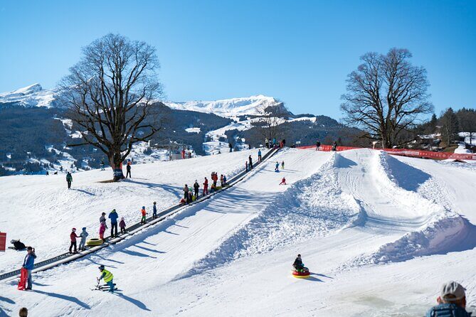 Afternoon Beginner Package Ski in Interlaken - Key Highlights to Know Before You Go