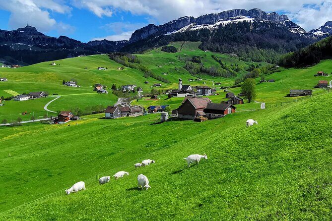 All Inclusive Rhine Falls and Appenzell Private Day Tour from Zurich - Price and value: what you’re paying for at $1,397.62 per person