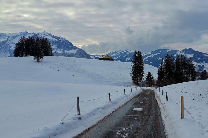 All Inclusive Rhine Falls and Appenzell Private Day Tour from Zurich - Logistics that actually affect your comfort