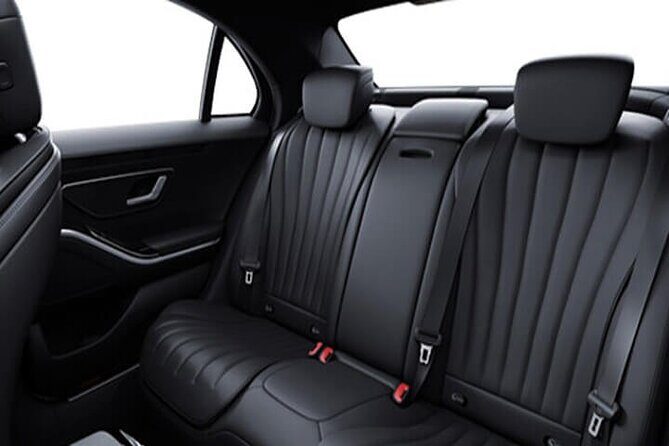 Arrival from Basel Airport BSL to Basel City by Luxury Vehicle - Included extras that add up: parking, taxes, water, and handling