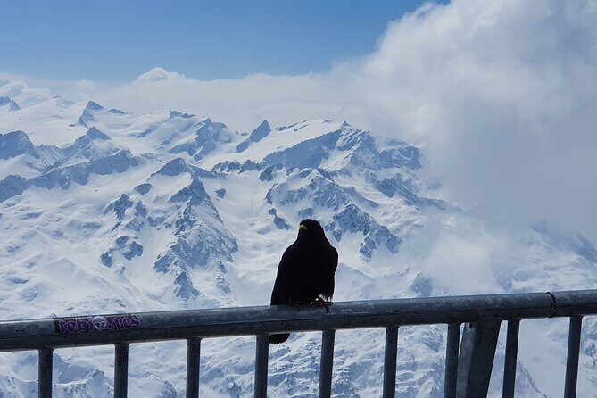 Attraction Ticket: Mt. Titlis by Train and Cableway from Lucerne - Getting Your Value: Price at $277.15 and What You’re Actually Paying For