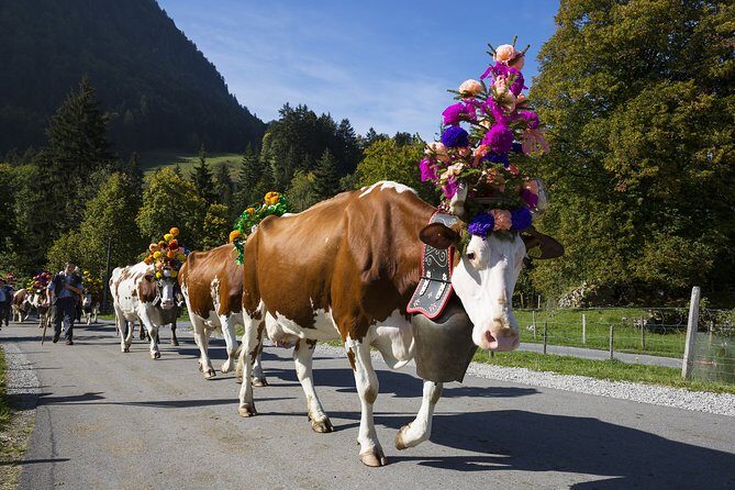 Berne the Capital and Cheese paradise Emmental (Private Tour) - What a Guide Like Gean Carlos Adds (Beyond Facts)
