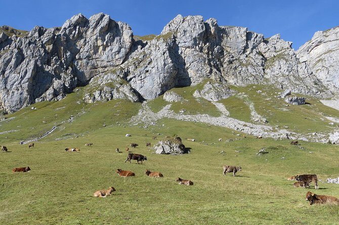 Best of the Uri Alps: A fjord-like lake, glorious peaks and sustainable tourism - Meeting in Altdorf: your launchpad for Uri