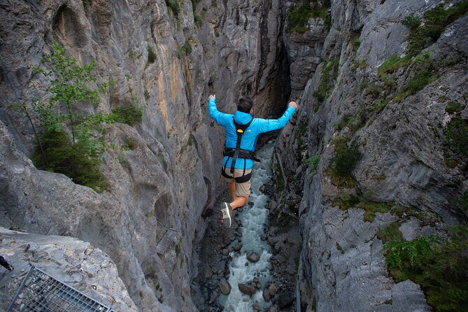 Canyon Swing with OUTDOOR - Price and value: what $185.55 actually buys you