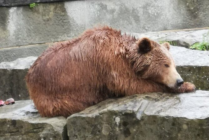Cheese, Chocolate and Wine in the Bern Region from Luzern - Bern in 1–2 Hours: Rose Garden, Bears, Einstein, Cathedral Area