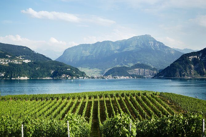 Chocolate, Cheese and Wine Tour in Luzern region - Chocolate time: what to do before you taste