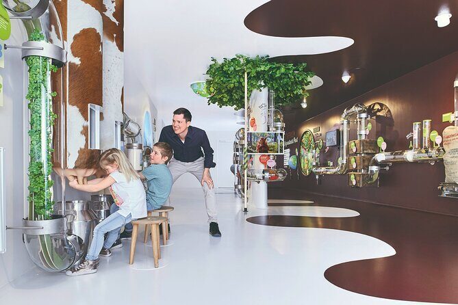 Chocolate factory Individual experience tour - Key things to know before you go