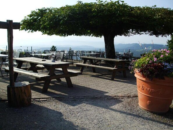 Culinary Tour from Zurich with Traditional Swiss Cheese Fondue Dinner - Key Points to Know Before You Go