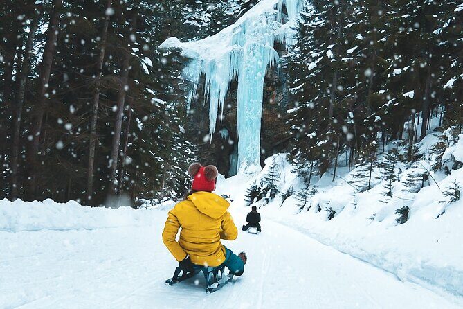 Day Sledding in Interlaken - Key Things to Know Before You Go