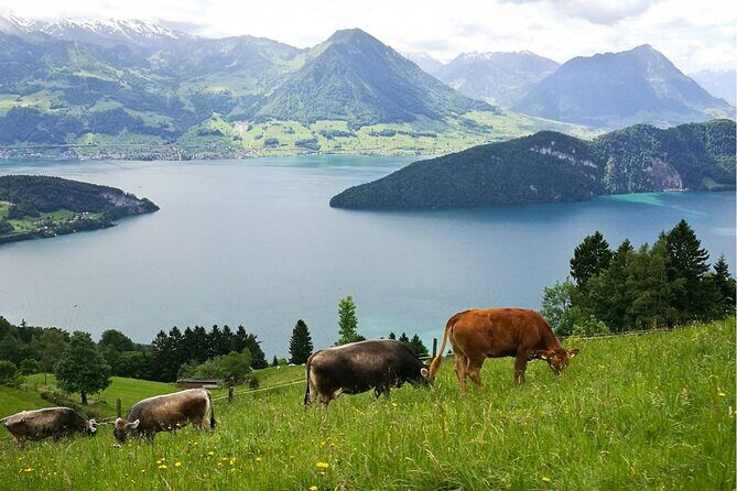 Day Trip to Lucerne and Mt. Rigi with a local from Zurich - Zurich Morning: the start point and what the guide actually helps with