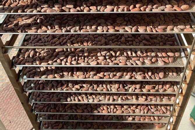 Ethical Chocolate Tour - Stop 2 in Wollishofen: a chocolate factory that lets you see the steps