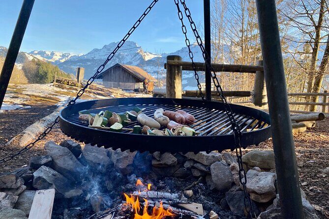 Flavours of Switzerland Luxury Private Tour from Zurich & Lucerne - A luxury private day that starts with the views, not a lecture