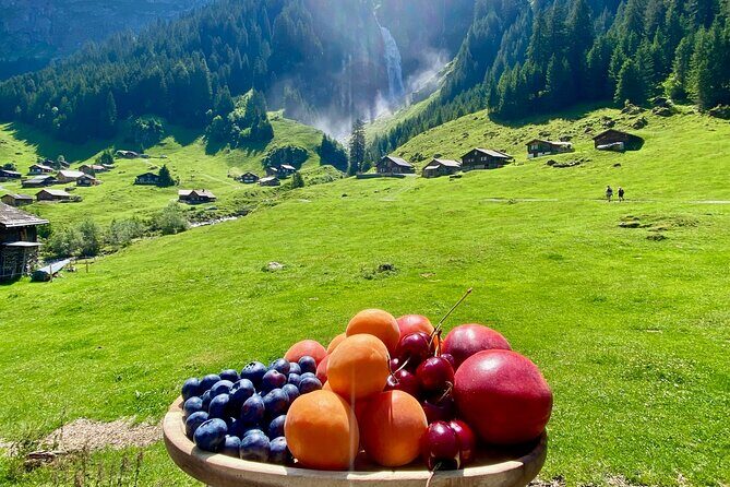 Flavours of Switzerland Luxury Private Tour from Zurich & Lucerne - The canton of Uri: mountain pass near 2,000 m and a Swiss Mountain BBQ