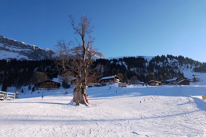 Fully organized Ski Experience for Private Groups - Ski Day Timing: 7:45 Pickup, 11:45 Return, and the Optional Afternoon Flex