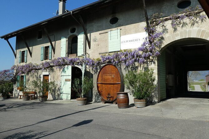 Geneva Countryside By E-Bike With Wine Tasting - Satigny vineyards: Geneva wine country with mountain views