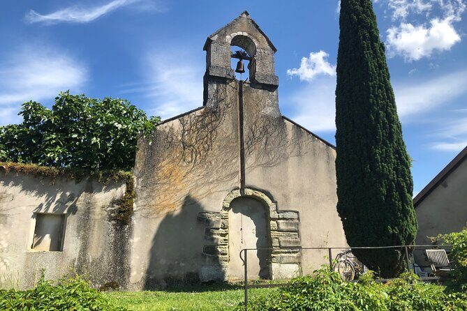 Geneva Countryside By E-Bike With Wine Tasting - The wine tasting: eight wines, eight generations, and a cellar visit