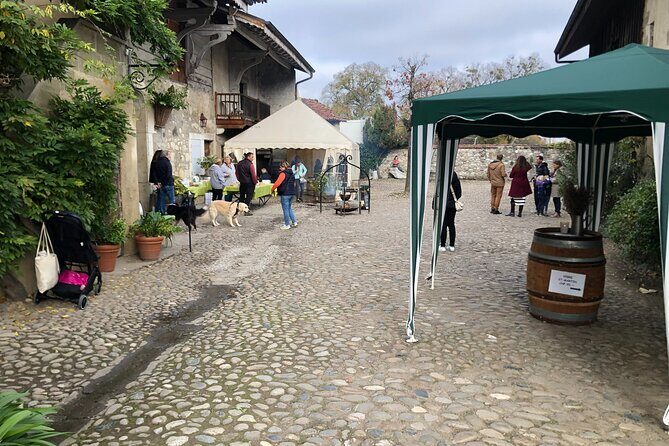 Geneva Countryside By E-Bike With Wine Tasting - The Geneva neighborhoods stretch: Les Charmilles, skate park, and the route vibe