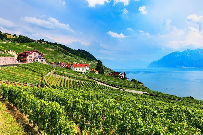 Geneva to Gruyère Private Day Trip. Cheese & Chocolate Tour - Lavaux Wine Terraces: A Scenic Photo Stop That Breaks Up the Day