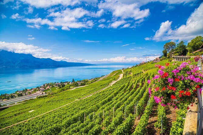 Geneva to Gruyère Private Day Trip. Cheese & Chocolate Tour - When Language Comes Up: Plan for a Driver/Guide Who Speaks French
