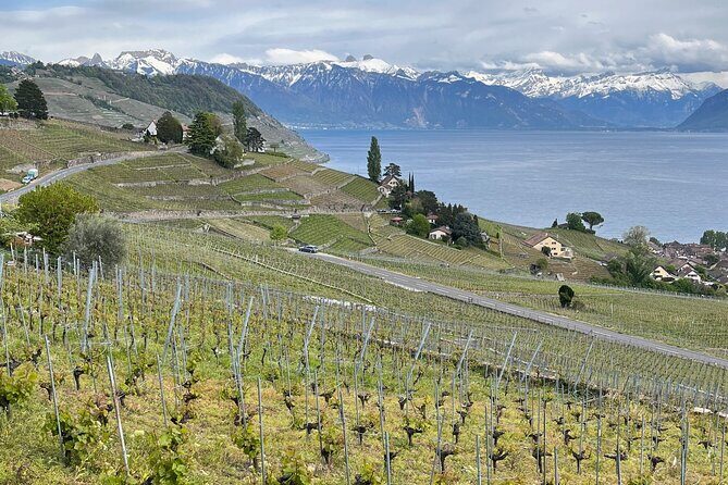 Gourmet Food and Wine Tasting Walk in Lavaux - Stop 3: Lutry’s Medieval Village Stories and a Distinctive Tasting