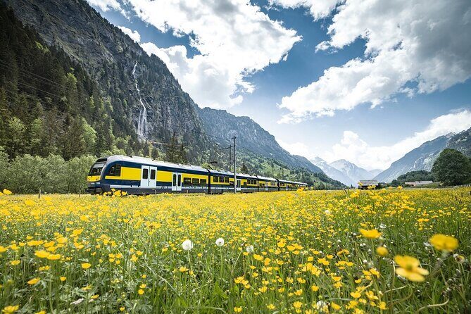 Grindelwald First - Top of Adventure from Zurich - Grindelwald and Interlaken timing: you get taste-level time