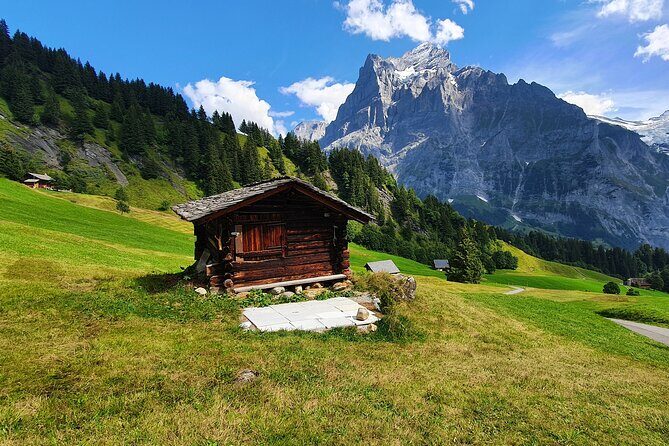 Grindelwald First (Top of Adventure) Ticket incl. Cliff Walk - Wander First: playgrounds, gentle trails, and extra things to do