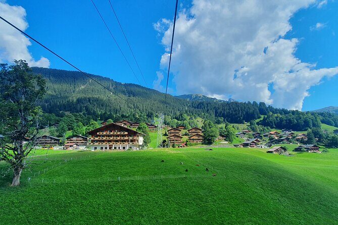 Grindelwald First (Top of Adventure) Ticket incl. Cliff Walk - First Cliff Walk by Tissot: suspension-bridge nerves, with guardrails