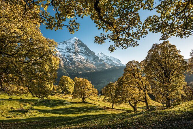 Grindelwald, Interlaken & Lauterbrunnen Day Trip from Zurich - Guides and drivers: what the best days have in common