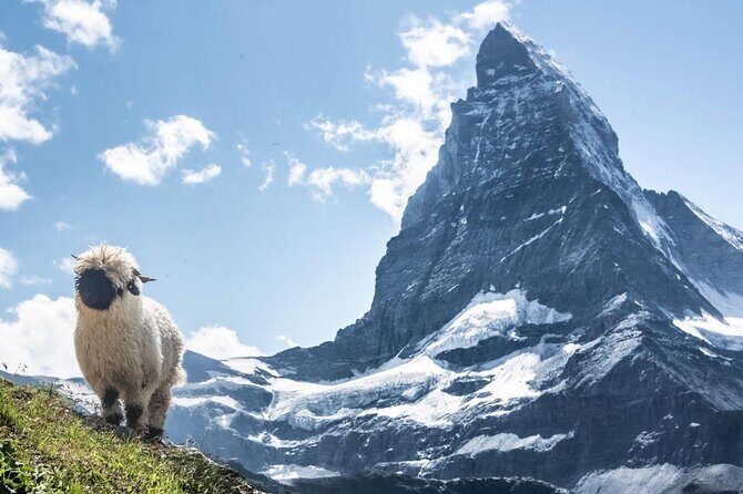 Guided Hiking Full Day in Zermatt - Matterhorn stop: the viewpoint everyone wants, paced for real life