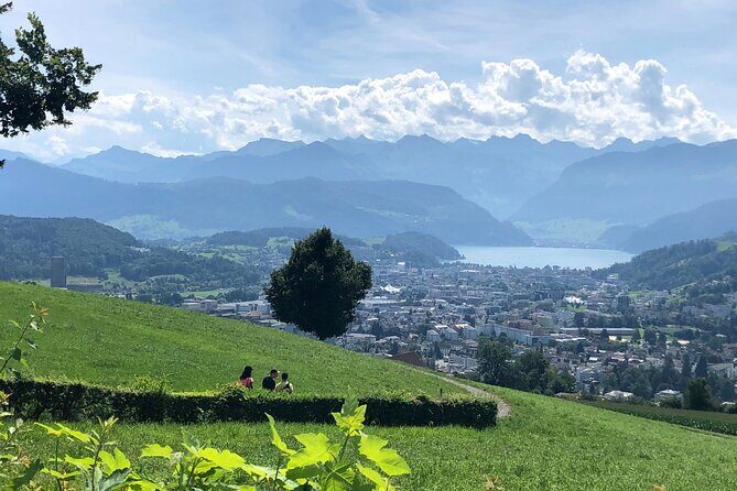 Half-Day Lake Lucerne Country Walk - Guide power: real local stories, patient pacing, and up-close countryside moments