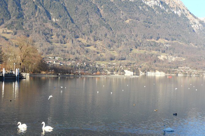 Interlaken Private Tour: Mountains Cows, Thun Lake, and Brienz Lake - Lake Thun First: Neuhaus Beach, Luegibrüggli, and the Eiger-Mönch-Jungfrau Shot