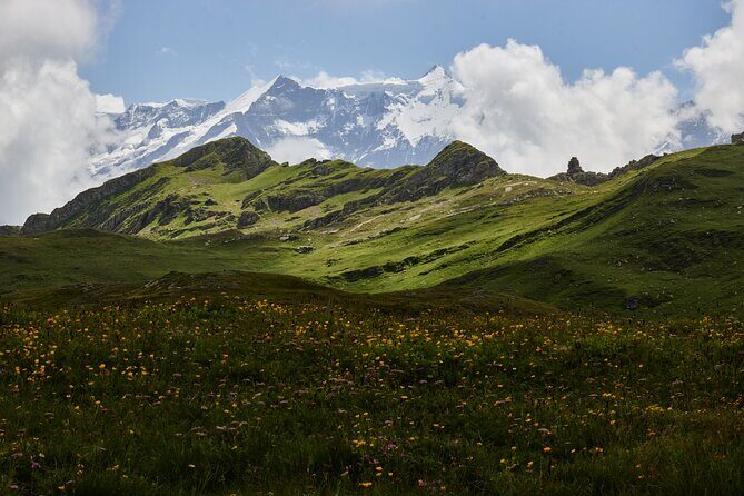 Jungfraujoch Day Visit from Grindelwald - The train climb and the Aletsch Glacier viewing stop