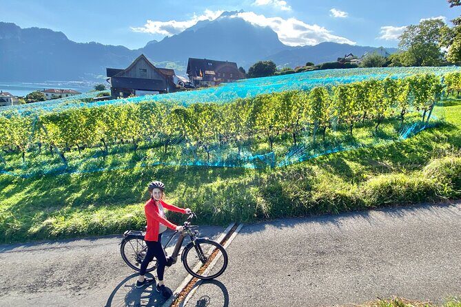 Lake Lucerne Peninsula e-Bike Tour - Entering the Lake Lucerne Peninsula: What This Tour Feels Like