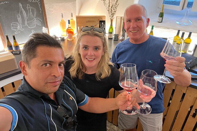 Lake Lucerne Region Wein Tasting - Who Should Book This Lake Lucerne Wine Walk
