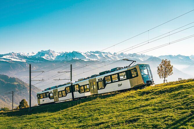Mount Rigi Day Ticket - Switching gears: using the Goldau cogwheel line too