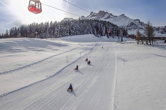 Mt. Pilatus Gondola and Aerial Cableway Ticket from Kriens - Price and value: is $83.60 worth it?