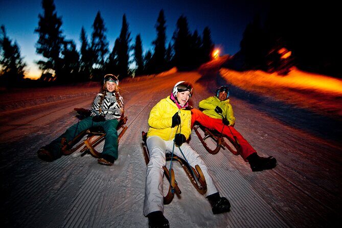 Night Sledding with Fondue - The moonlit sled run: 1 hour of woods, meadows, and frozen drama