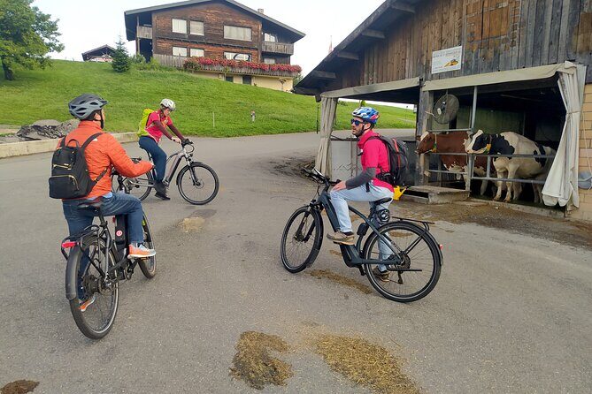 Panoramic E-Bike Tour with a Lake Cruise - Lake Lucerne cruise back to town: the perfect exhale