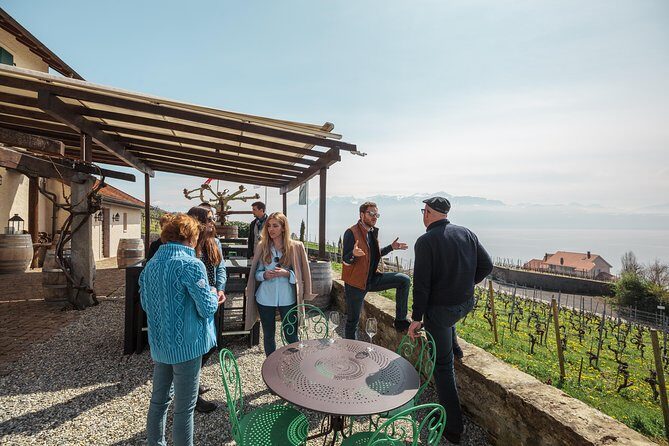 Panoramic Wine Tour From Lausanne - From Lausanne area to Lavaux viewpoints: the rhythm of the tour
