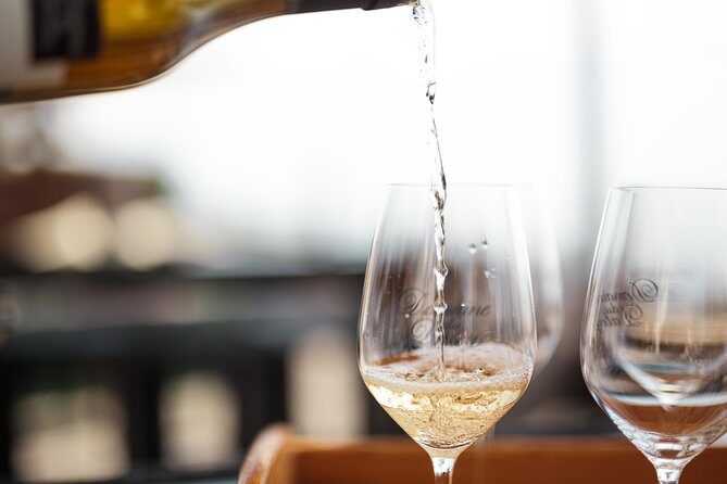 Panoramic Wine Tour From Lausanne - The Domaine de la Crausaz tasting stop: what you get in 1 hour 30