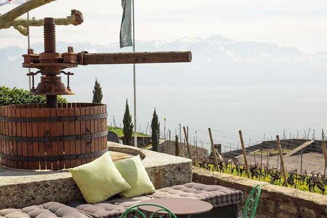 Panoramic Wine Tour From Lausanne - Price and group size: figuring out value at $1,976.95 per group