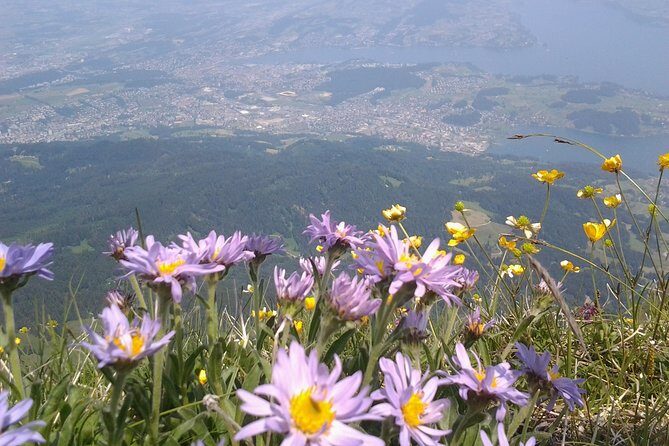 Pilatus Panorama: Exclusive Private Golden Round Trip from Zürich - Fräkmüntegg and Krienseregg: Fun Options, Not a Hard Sell