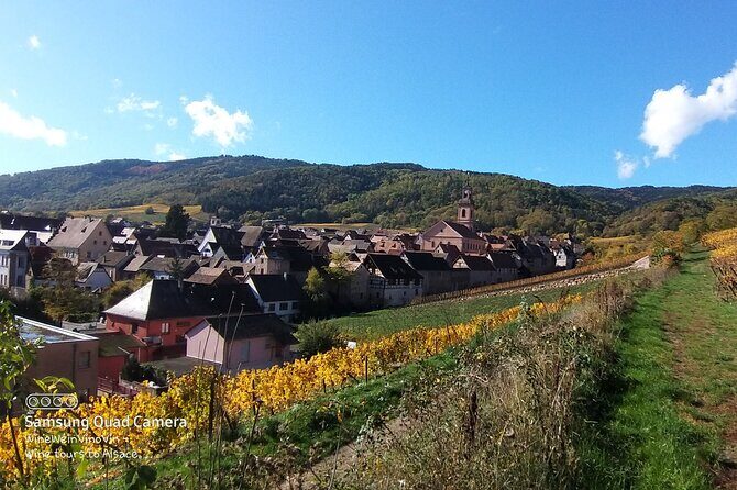 Pinot Noir & Pinot Wine Tour to Baden-Württemberg - What You Actually Get From All Those Tastings