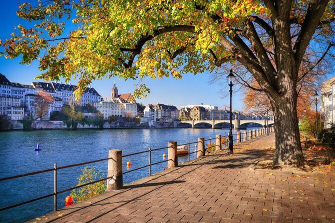 Private direct transfer: Zurich to Basel, English-Speaking driver - Choosing the Right Vehicle for Bags and Group Size