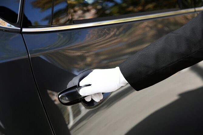 Private transfer Zurich to Basel (1-6 persons) - Key things to know before you go