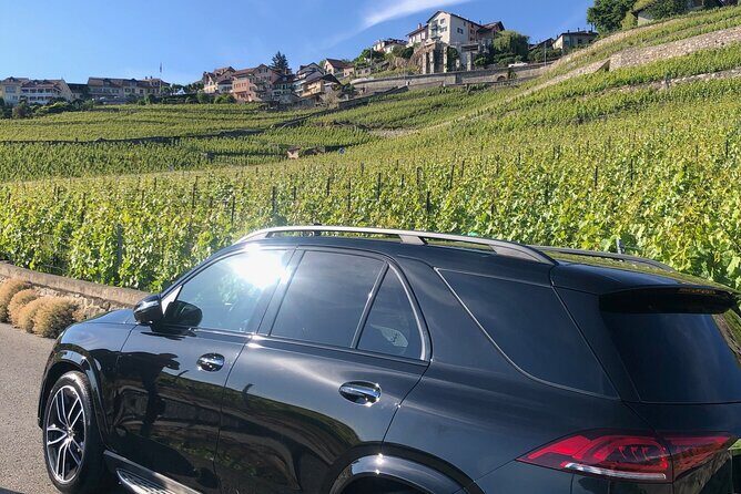 Private transfer Zurich to Basel (1-6 persons) - Door-to-door pickup: Zurich Airport, or anywhere in Zurich City