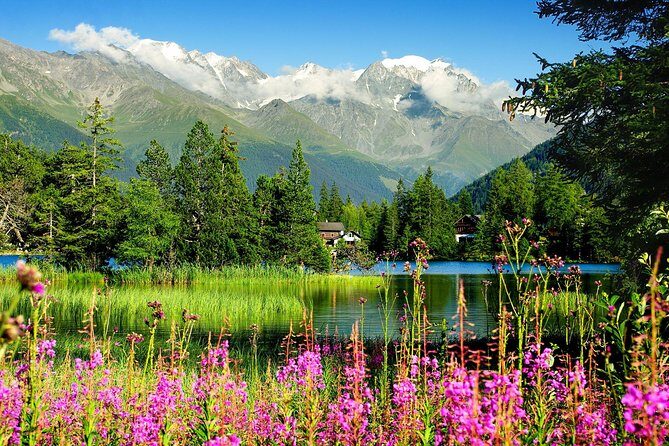Private Trip from Geneva to Swiss Riviera Montreux & Chamonix - Price and value for a private group of up to 3